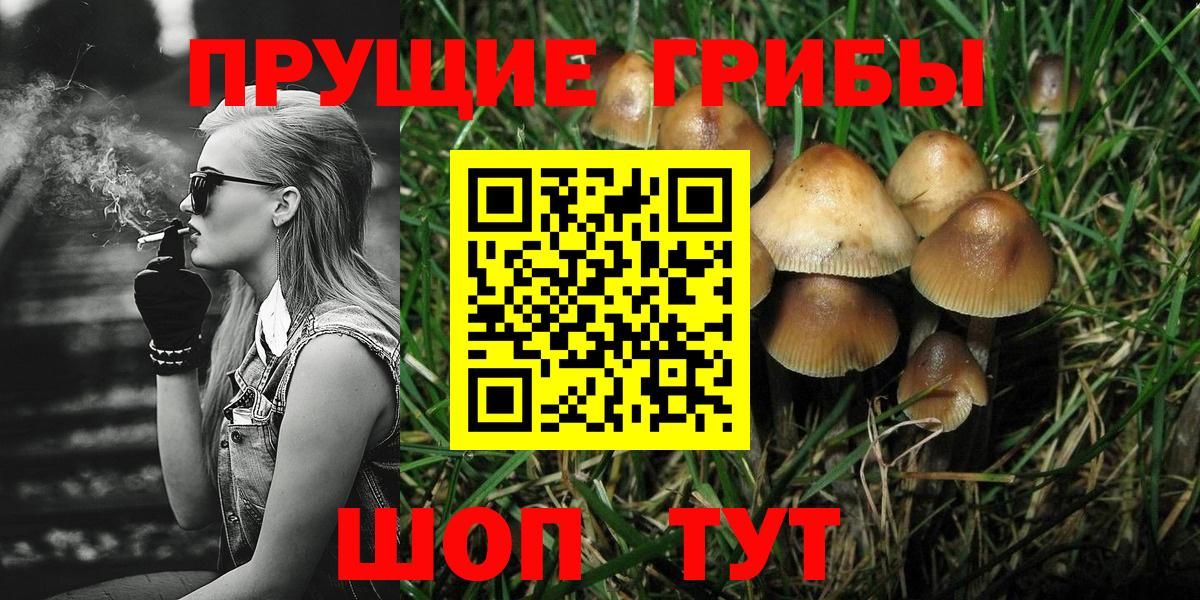 Псилоцибиновые грибы Magic Shrooms Северобайкальск